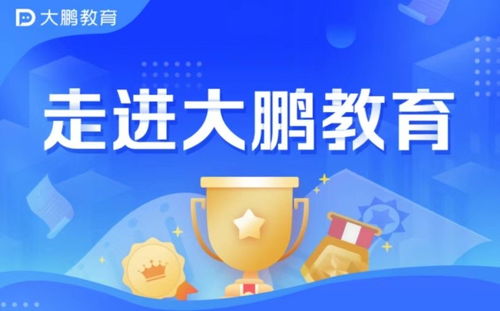 大鹏教育 为广大学员提供便捷、优质的在线教育服务